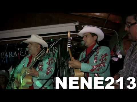 CANELOS - LOS CANELOS DE DURANGO EN EL ANTRO LA NENE213 CORRIDOS NUEVOS FIESTA PRIVADA.