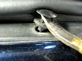 Saturn S-series Rear Bumper Fascia Removal