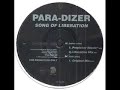 Para-Dizer - Song Of Liberation (Perplexer reMix) Para-Dizer - Song Of Liberation (Perplexer reMix)