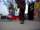 CUECA CHILENA (LOS LOMINOS)