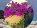 GRECJA SANTORINI.wmv