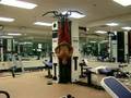 ABS: MIke Roman's How to get an 8 pack part 2
