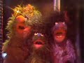  sesame street  grover disco dancing