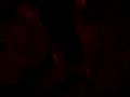 videos de sdfgsdg