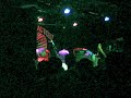 Paramore
