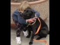 See Video