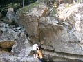 �ˉ͓��̃{���_�[���̂ڂ�j�b�V�[ 