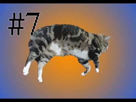 Cat Tales - Chub Burger