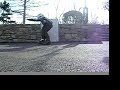 Tre Flip