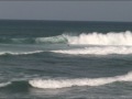 corto la laja 2006