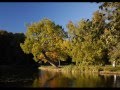 videos de belíssima natureza