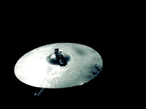 Anteater - Anteater