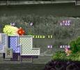 umihara kawase: field 11 to 18
