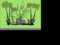 Green suprem animation en mi nation