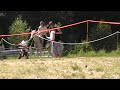 Mounted Archery Demo