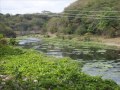el río nigua sigue desvaneciéndose   