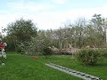 Falden K�mpe p� 180 �r