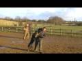 K9 Xena Working Dog Protection Training