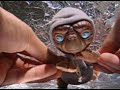 Rap E.T