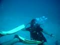 Curso de buceo en Koh Tao