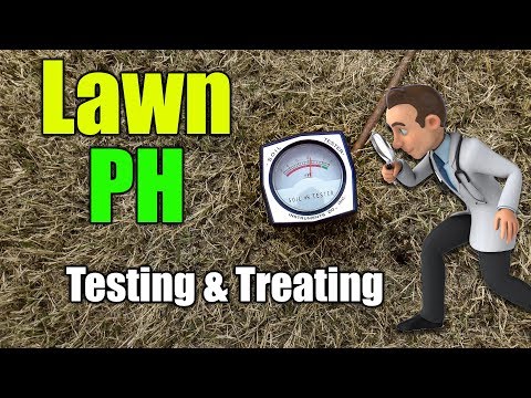 video-linktoworks-Lawn Soil PH