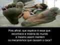 Escolhas