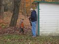 Is that a Deer in the Outhouse? Is that a Deer in the Outhouse?