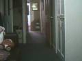 videos de Yoshi