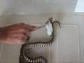 Woma Python Possibly Caudal Luring