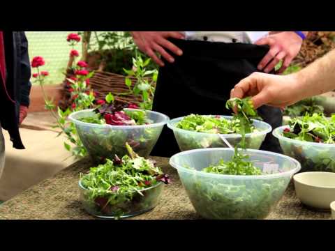 how to grow primrose