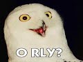 Orly Movie