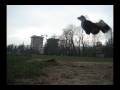 videos de butterfly kick nauka i kilka innych