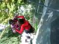 MOii Et Eliisa
