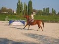 Lidole-Moi-1m10-1m15