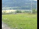 Pit bike Skalice