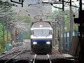 [KTT] Single Blue-White Headed .