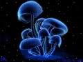 Psychodelic