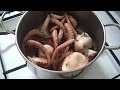 Purpetielli affogati - Polipetti al sugo