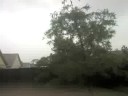 Hurrican FAY in Orlando! 65MPH+ Winds Hurrican FAY in Orlando! 65MPH+ Winds