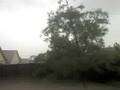 Hurrican FAY in Orlando! 65MPH+ Winds