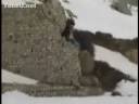 Kite Boarder Gets Huge Air Time
