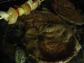 parrilladas y ricas brochetas parrilladas y ricas brochetas