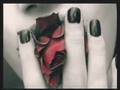 The Used- Liar Liar (Burn in hell)(Lyrics Included)