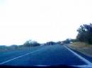 Trip Trip