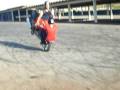 videos de boby