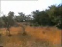 Sanghar Shikar 03