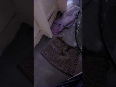 EverDry Waterproofing - To keep others from being scammec