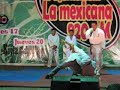 Martial Arts Academy
