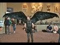 Fallen Angel Wing Costume [Articulating Wings]