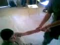 los osos tamb vuelan los osos tamb vuelan
